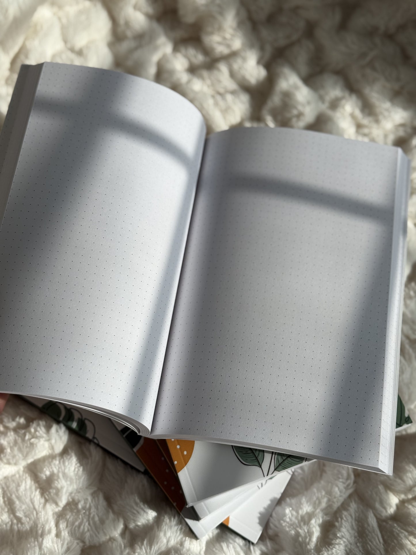 Solomon's Journals
